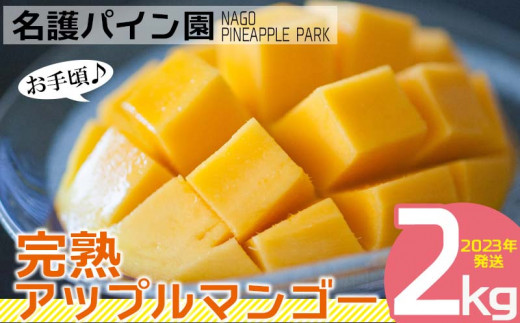【名護パイン園】　お手頃♪完熟アップルマンゴー2kg　2023年発送