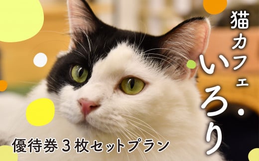 猫 カフェ 利用優待券 チケット 1時間分 × 3枚 ねこ 動物 ペット 癒し