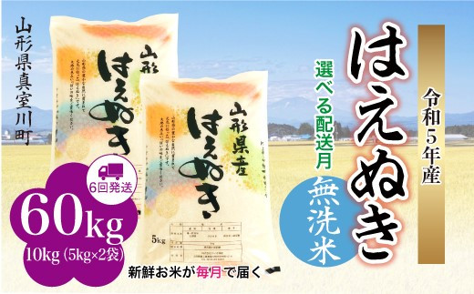 配送時期が選べて便利な定期便＞ 令和5年産 真室川町厳選 はえぬき