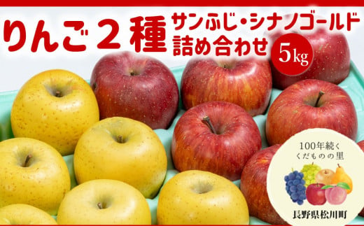 長野県松川町産！りんご2種詰め合わせ（サンふじ・シナノゴールド）