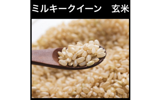 令和5年産】玄米といえば！茨城県産 ブランド米 ミルキークイーン玄米