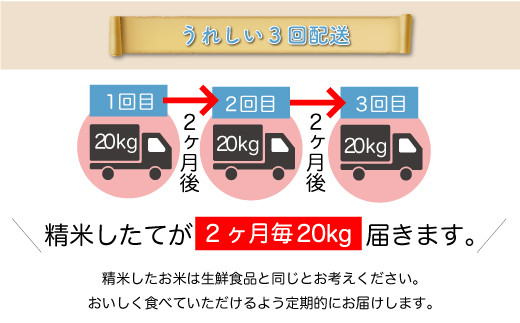 ＜配送時期が選べて便利な定期便＞ 令和5年産 真室川町厳選 はえぬき ＜無洗米＞ 60㎏ 定期便（20kg×2カ月ごと3回お届け）|株式会社ちいき物産