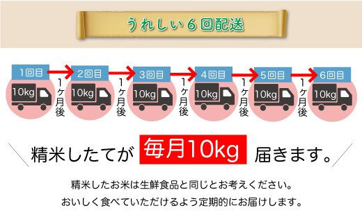 ＜配送時期が選べて便利な定期便＞ 令和5年産 真室川町厳選 はえぬき ＜無洗米＞ 60㎏ 定期便（10kg×1カ月ごと6回お届け）