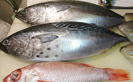 市場から仕入れた新鮮なお魚。その時期によって変わる旬のお魚をお楽しみください。