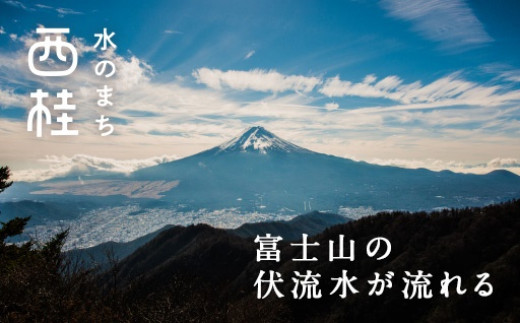 富士山麓　６本