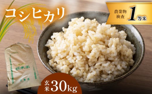 お米 コシヒカリ 玄米 30kg 真岡市産
