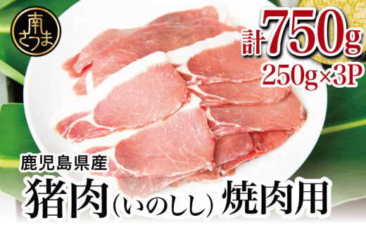 【南さつまジビエ】鹿児島県南さつま産 猪（いのしし）肉　焼肉用 750g（250g×3P） 冷凍 グルメ ジビエ肉 ジビエ イノシシ 焼肉 焼肉セット