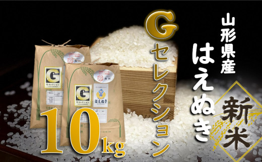 はえぬきのふるさと納税 カテゴリ・ランキング・一覧【ふるさとチョイス】