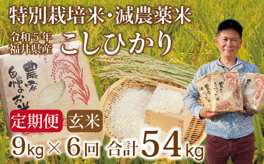 先行予約・新米〉【定期便６回】減農薬米 こしひかり 9kg(3kg×3袋