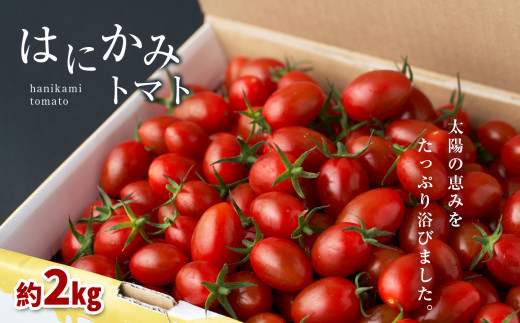 太陽の恵みをたっぷり浴びた はにかみトマト 2kg ミニトマト  真岡市 栃木