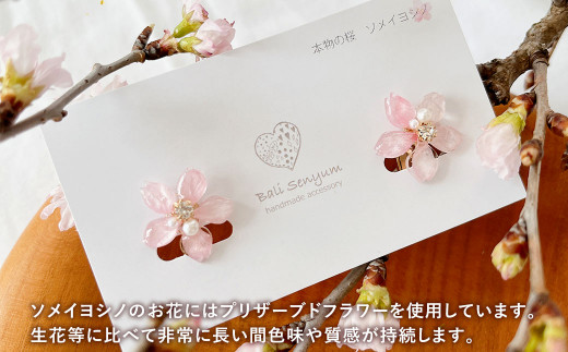 『ソメイヨシノ』桜のイヤリング(ピンク) 