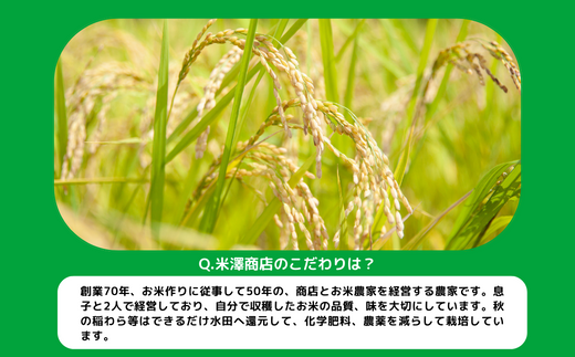 米 こしひかり 10kg × 12回 【 12か月 定期便 】( 令和5年産 ) 沖縄県