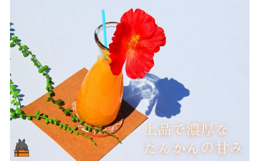 徳之島のたんかんは温暖な気候で育ち、とっても甘くて上品な美味しいですよ。