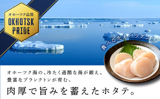 2024年夏発送】ホタテ 北海道産 冷凍 貝柱 500ｇ(250g×2個セット 