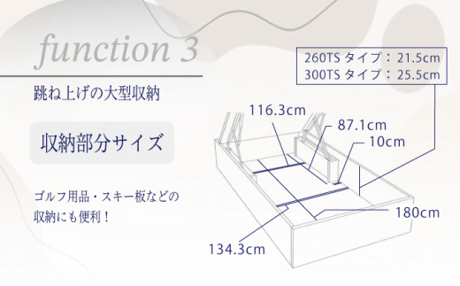 佐賀県上峰町のふるさと納税 フランスベッド BG-001（跳ね上げ収納タイプ 260mm）ダブル【ベッドフレームのみ】S-213