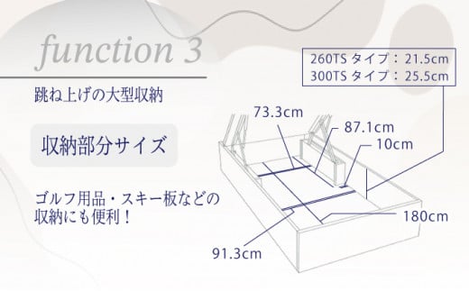 佐賀県上峰町のふるさと納税 フランスベッド BG-001（跳ね上げ収納タイプ 300mm）シングル【ベッドフレームのみ】R-288