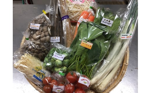 産直センター　旬彩BOX「四季の野菜と果物セット」