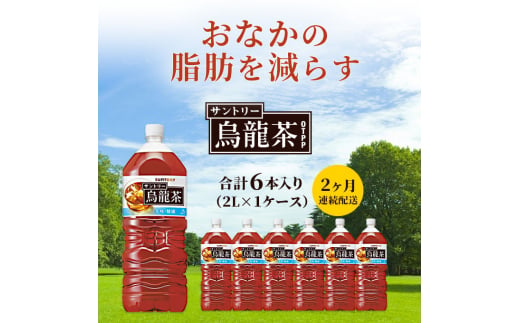 サントリー烏龍茶OTPP（機能性表示食品） 2L×6本 ペットボトル　2ヶ月定期 673840 - 神奈川県綾瀬市