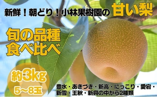 【先行予約・9月上旬以降発送】小林果樹園の甘い梨 食べ比べ 5～8玉  梨 なし 甘い フルーツ 果物