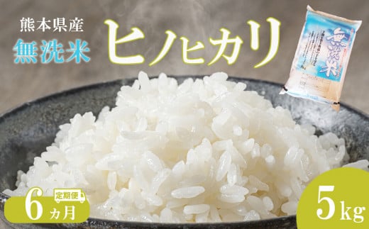 Z30-6 【定期便6回】 無洗米 ひのひかり 5kg 熊本県産