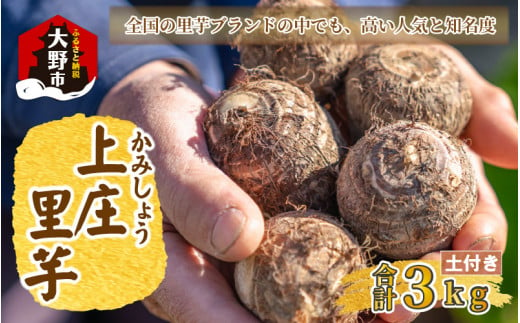 【先行予約】日本の美味い里芋！秋の味覚 上庄里芋 3kg 【11月～年内出荷】