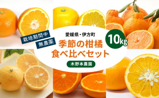 【農家厳選】木野本農園　季節の柑橘食べ比べセット 10kg※着日指定不可※2024年1月上旬～5月下旬頃に順次発送予定 278964 - 愛媛県伊方町