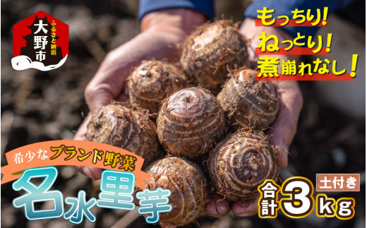 越前大野の名水里芋 3kg ねっとりうまい煮崩れしない！ 242974 - 福井県大野市