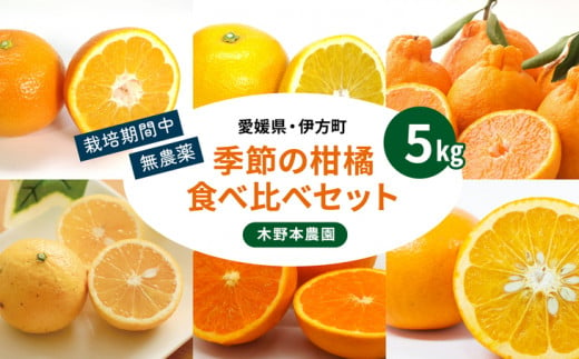 [農家厳選]木野本農園 季節の柑橘食べ比べセット 5kg ※着日指定不可 ※2024年1月上旬〜5月下旬頃に順次発送予定