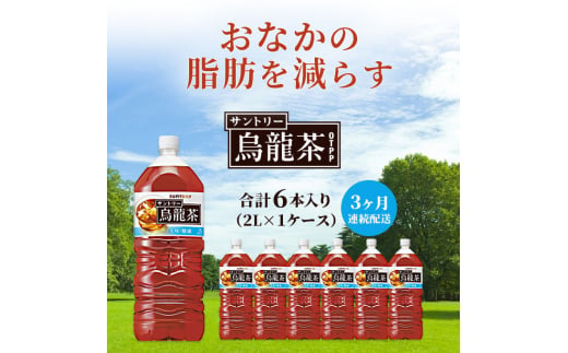 サントリー烏龍茶OTPP（機能性表示食品） 2L×6本 ペットボトル　3ヶ月定期 673841 - 神奈川県綾瀬市