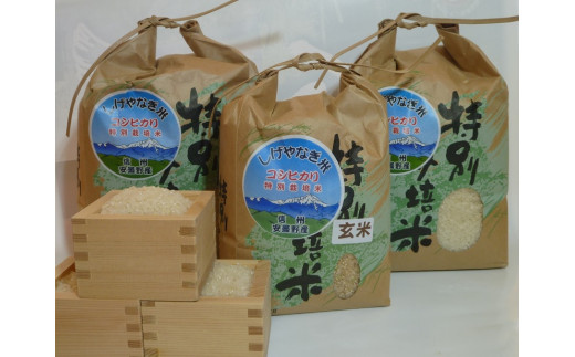 産直センター　【「清流の里」しげやなぎ米】特別栽培米コシヒカリ玄米・白米セット