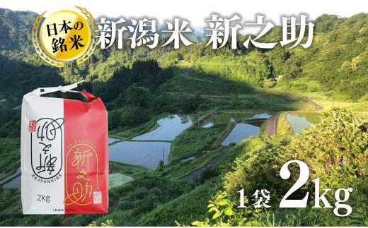 新潟米新之助（精米）2kg 673607 - 新潟県十日町市