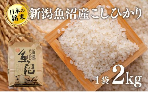 新潟魚沼産こしひかり（精米）2kg - 新潟県十日町市｜ふるさとチョイス