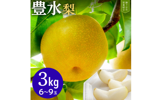 【豊水3kg】かまがや育ちの完熟梨（梨業組