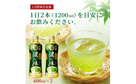 伊右衛門 濃い味（機能性表示食品）600ml×24本 ペットボトル - 神奈川