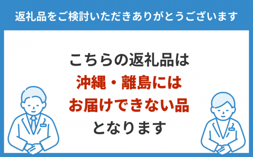 茨城県常総市のふるさと納税 【日本ベッド】シルキーシフォン 11316 シングル 寝具 ※沖縄県・離島への配送不可