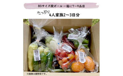 旬の野菜セット 夏秋冬春年4回お届け 栽培中無農薬 無化学肥料 各回7