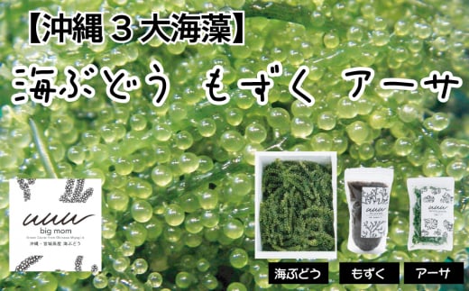 【沖縄3大海藻セット】海ぶどう・もずく・アーサ