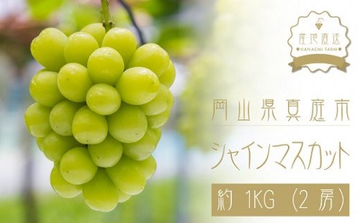 hana15.花笑み農園　岡山ぶどう『シャインマスカット』1㎏（2房）