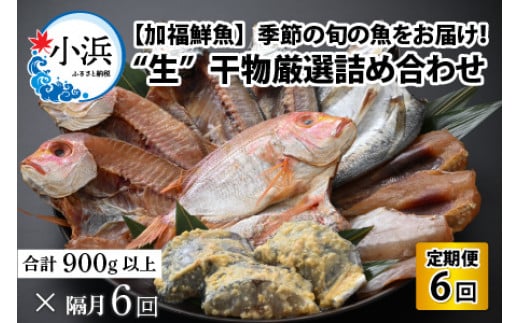 [定期便] [全6回(隔月発送)] 生干物厳選詰め合わせ [加福鮮魚] 季節の旬の魚をお届け!