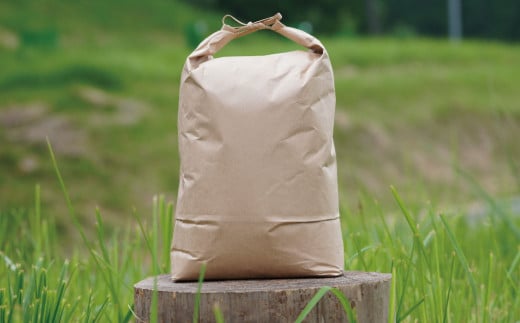 天日干し ひのひかり 5kg お米 ご飯 自然農法 籾貯蔵 新鮮 大分県産