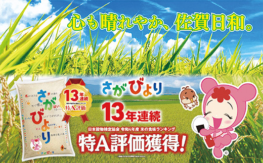 【令和４年産】佐賀県産さがびより 縁起米 合格びより ５ｋｇ×２袋（写真はイメージです）