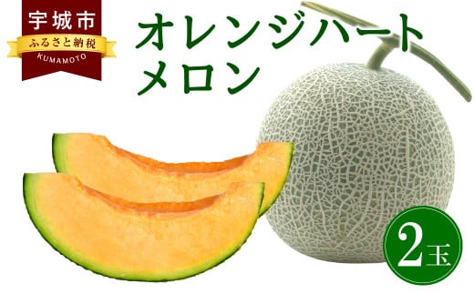 【11月上旬～順次発送予定】メロン(オレンジハート）約3.5kg 果物 フルーツ 宇城彩館