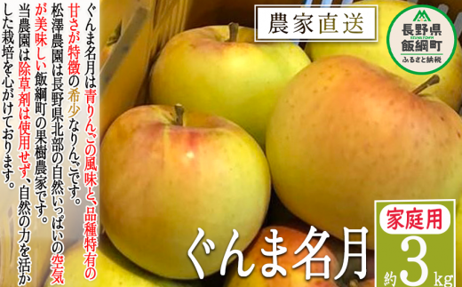 りんご ぐんま名月 家庭用 3kg 松澤農園 沖縄県への配送不可 2025年11月下旬頃から2026年1月上旬頃まで順次発送予定 令和7年度収穫分 長野県 飯綱町 [1066] 299837 - 長野県飯綱町