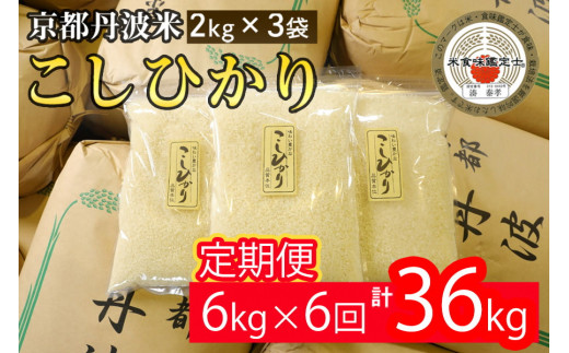 定期便 新米 6kg 6ヶ月 京都丹波米 こしひかり 白米 6回定期便 6kg （2kg×3袋） × 6回 計36kg ※精米したてをお届け《小分け  小袋 チャック付 米・食味鑑定士 厳選 コシヒカリ 京都丹波産》※北海道・沖縄・離島への配送不可