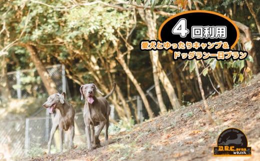 キャンプ ドッグラン 愛犬 宿泊 食事付き 体験 5名様分 4回利用 683053 - 香川県さぬき市