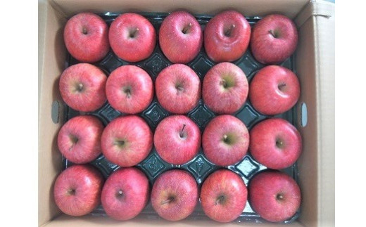 りんご（サンふじ）１０ｋｇ　４０～４６玉　ご家庭用　0056-2325
