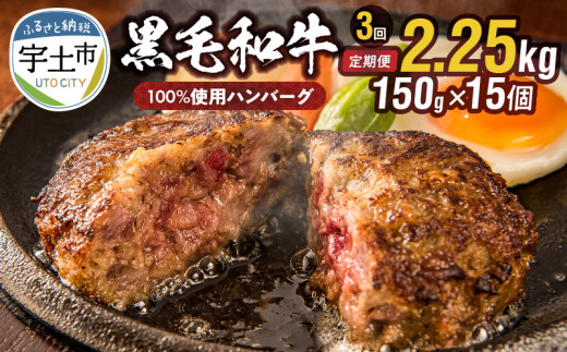 103-6_3 【定期便3回】黒毛和牛ハンバーグ 2,250g!! 150g×15個 599500