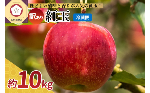 【選べる配送時期】【訳あり】 りんご 10kg 紅玉 アップルパイ に最適 青森 不揃い スマートフレッシュ貯蔵 4月 5月