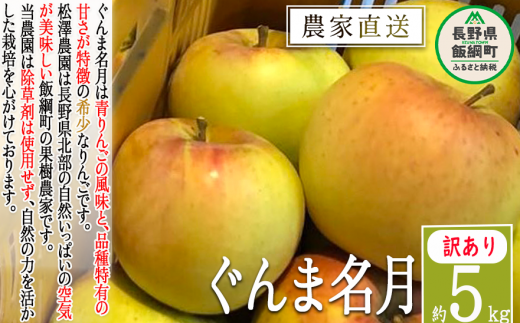 りんご ぐんま名月 訳あり 5kg 松澤農園 沖縄県への配送不可 2025年11月下旬頃から2026年1月上旬頃まで順次発送予定 令和7年度収穫分 長野県 飯綱町 [1335] 299839 - 長野県飯綱町