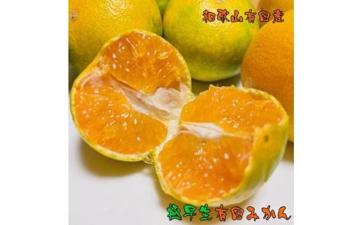 農家直送！ご家庭用濃厚極早生有田みかん約5kg【2023年10月発送